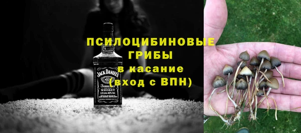 герыч Алексин