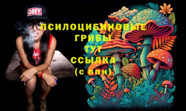 амфетамин Алексеевка