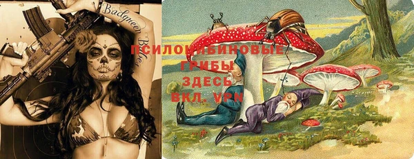 гидра Алзамай