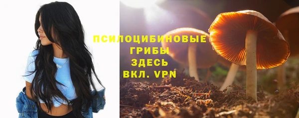 амфетамин Алексеевка