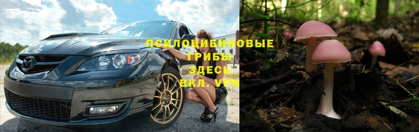 герыч Алексин