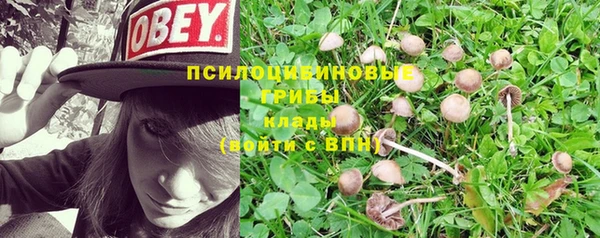 герыч Алексин