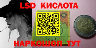 амф Заволжье